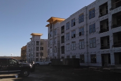 Website-12